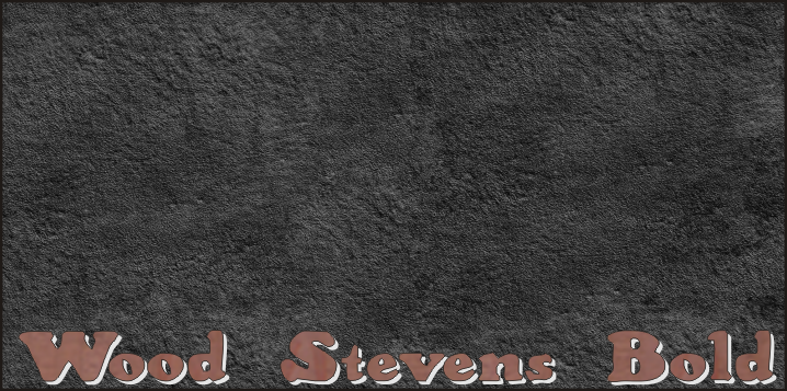 Wood Stevens Bold